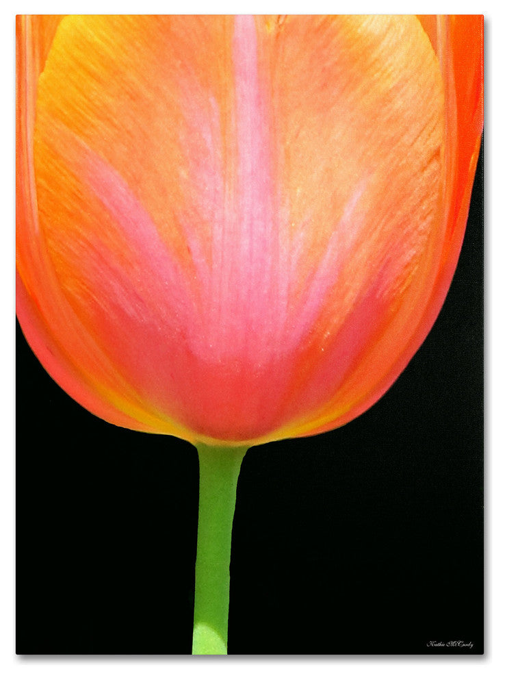 'Orange Tulip' Canvas Art by Kathie McCurdy
