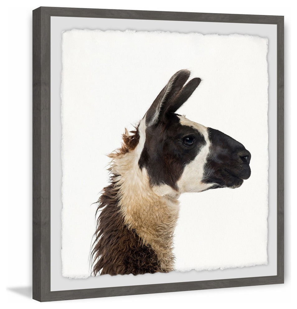 "Llama Profile" Framed Painting Print, 12"x12"