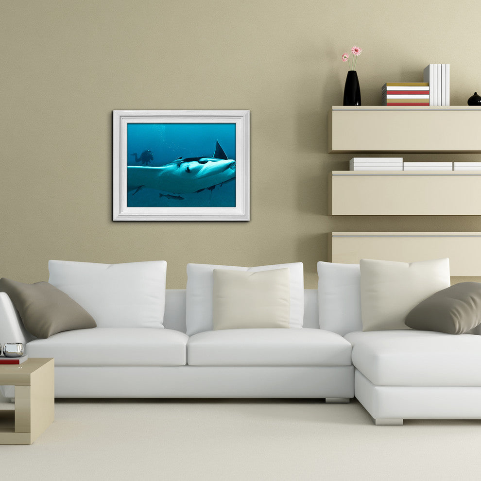 Ready2hangart Christopher Doherty Photography 'Ray' Canvas Wall Art