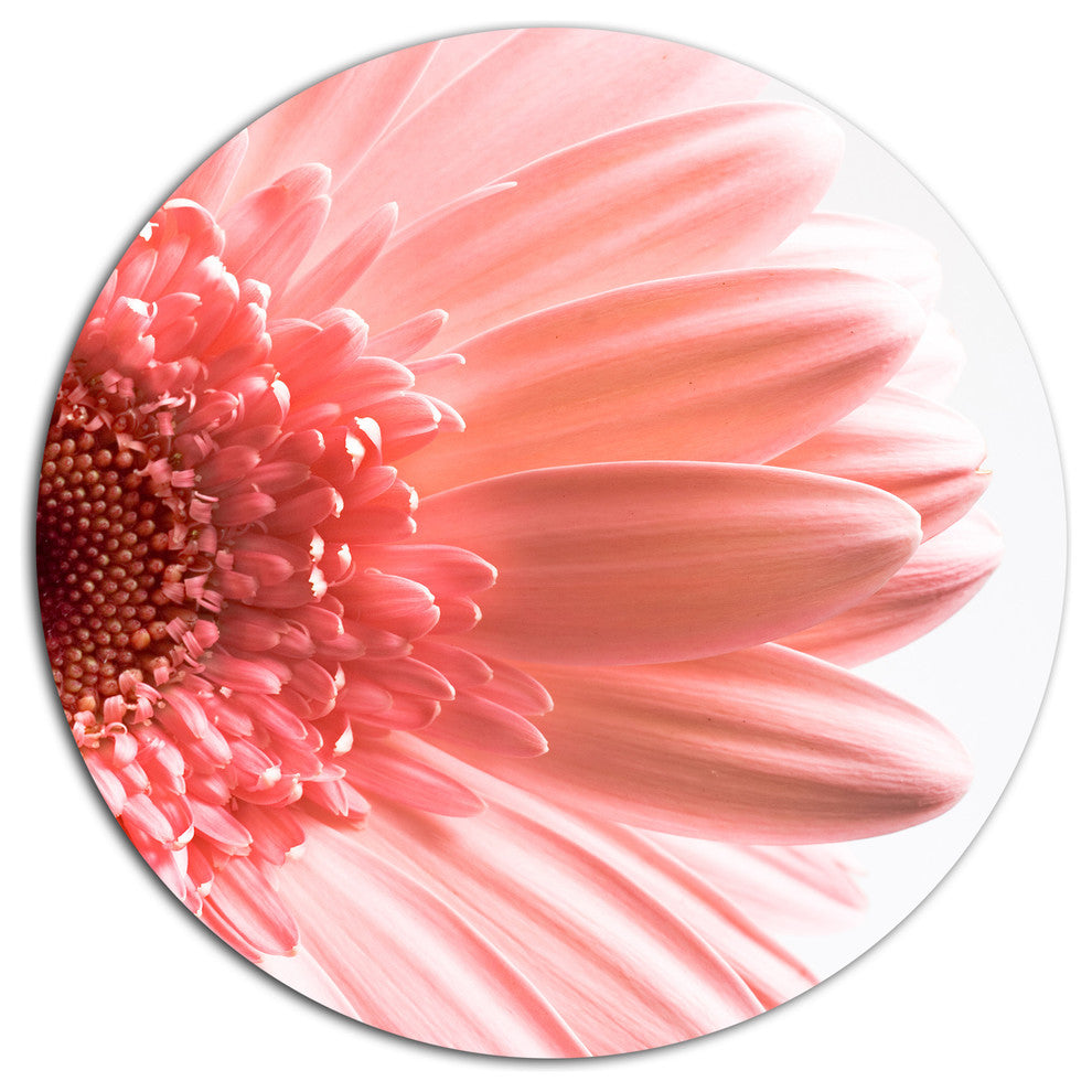 Pink Daisy Flower Petals, Floral Round Metal Wall Art, 11"