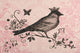 Marmont Hill, "Regal Songbird 2" by Reesa Qualia Print on Wrapped Canvas, 18x12