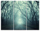 "Scary Forest With Green Light" Photo Canvas Print, 3 Panels, 36"x28"