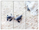 Baby Green Turtles on Sand, Oversized Animal Wall Art, 36x28, 3 Panels