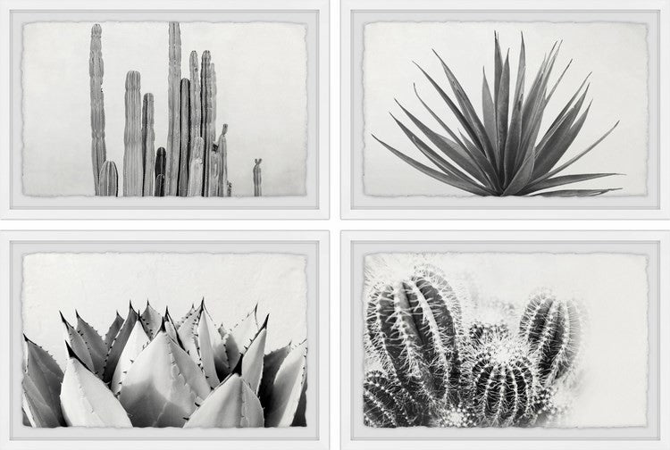 Cactus Kinds Quadriptych, 24"x16"