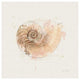 "Shell Collector II" Digital Paper Print by Katie Pertiet, 32"x32"
