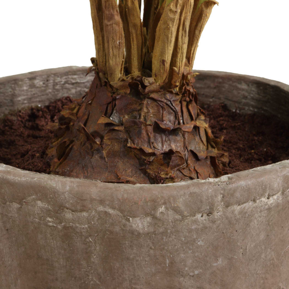 Uttermost Zamia Palm Accent, Planter