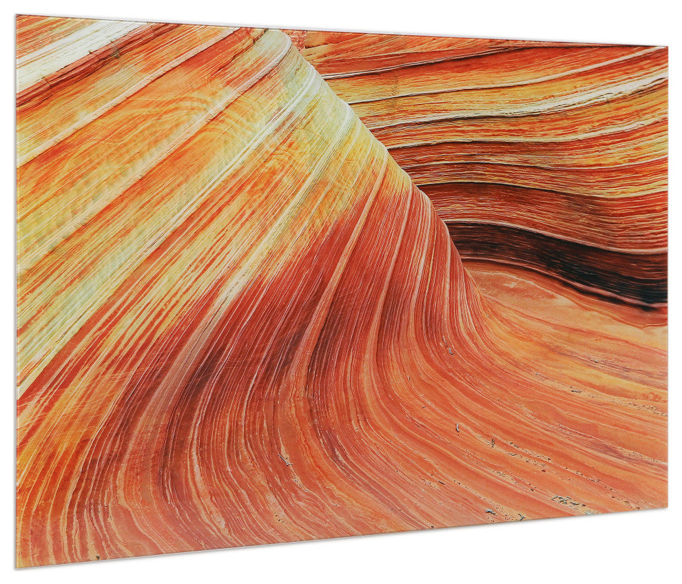 Painted Rock Frameless Free Floating Tempered Glass Graphic Wall Art 32x48
