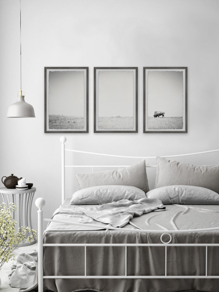 A Lone Bison Triptych, Set of 3, 12x18 Panels