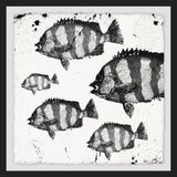 "Barred Fish" Framed Painting Print, 18"x18"