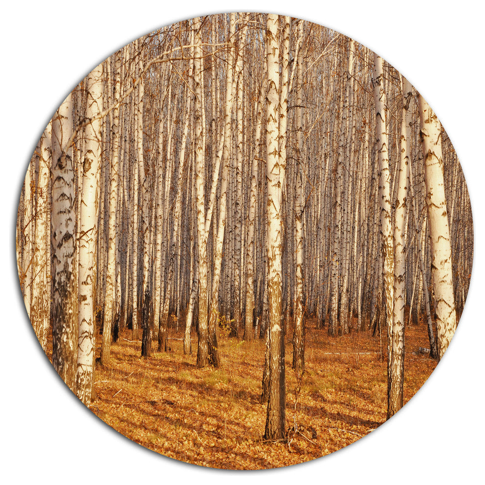 Dense Birch Forest In The Fall, Forest Round Wall Art, 36"