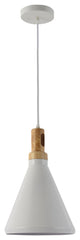 1-Light Pendant