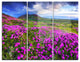 "Rhododendron Flowers in Mountains" Photo Metal Wall Art, 3 Panels, 36"x28"