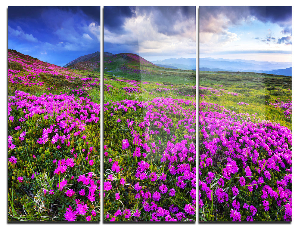 "Rhododendron Flowers in Mountains" Photo Metal Wall Art, 3 Panels, 36"x28"