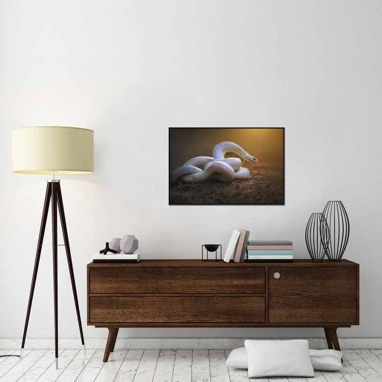 The White Legend, 36"x24"