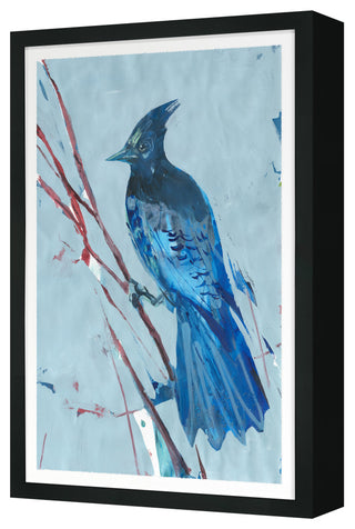 Blue Jay 3 Fine Art Print, Black, 45"x30"