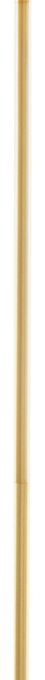 Hampton Hill 5-Light Dimmable Adjustable Height Chandelier, Gold/Black