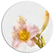 Watercolor Lily With Color Splashes, Floral Round Wall Art, 23"