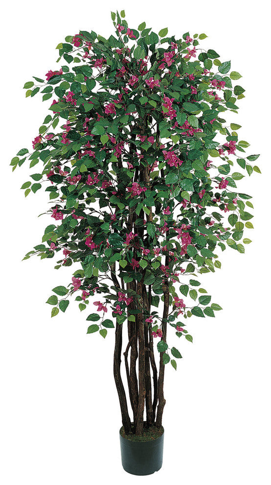 6' Bougainvillea Silk Tree