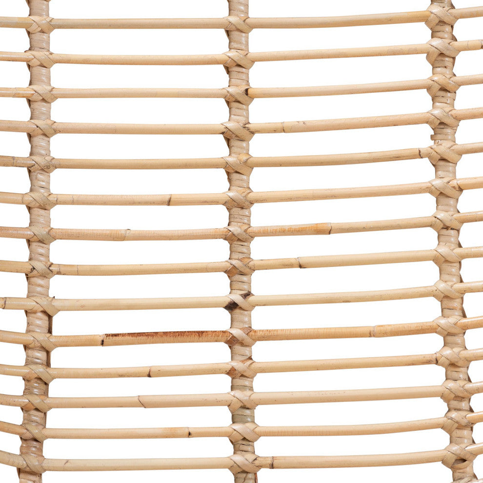 Rosalin Rattan and Metal Dining Chairs, Set of 2