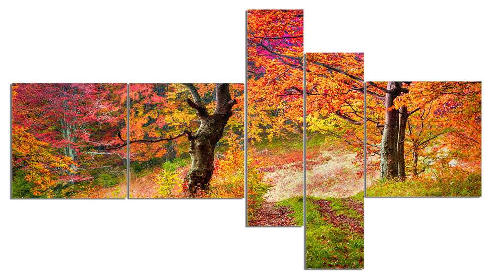 Bright Colorful Fall Trees in Forest, Landscape Canvas Print, 60"x32", 5 panels