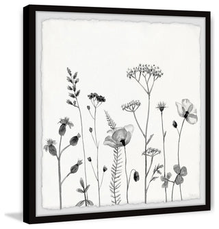 "All About Poppies" Framed Painting Print