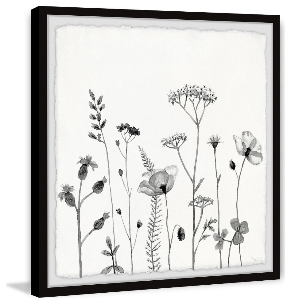 "All About Poppies" Framed Painting Print