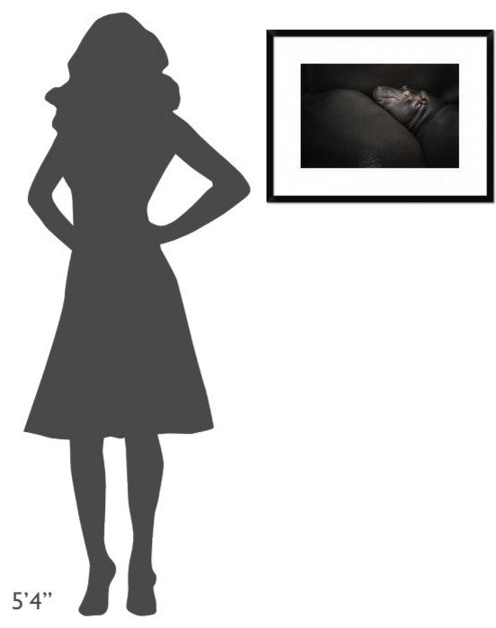 "Dreamin" Framed Digital Print by Zdenek Vales, 26"x20"