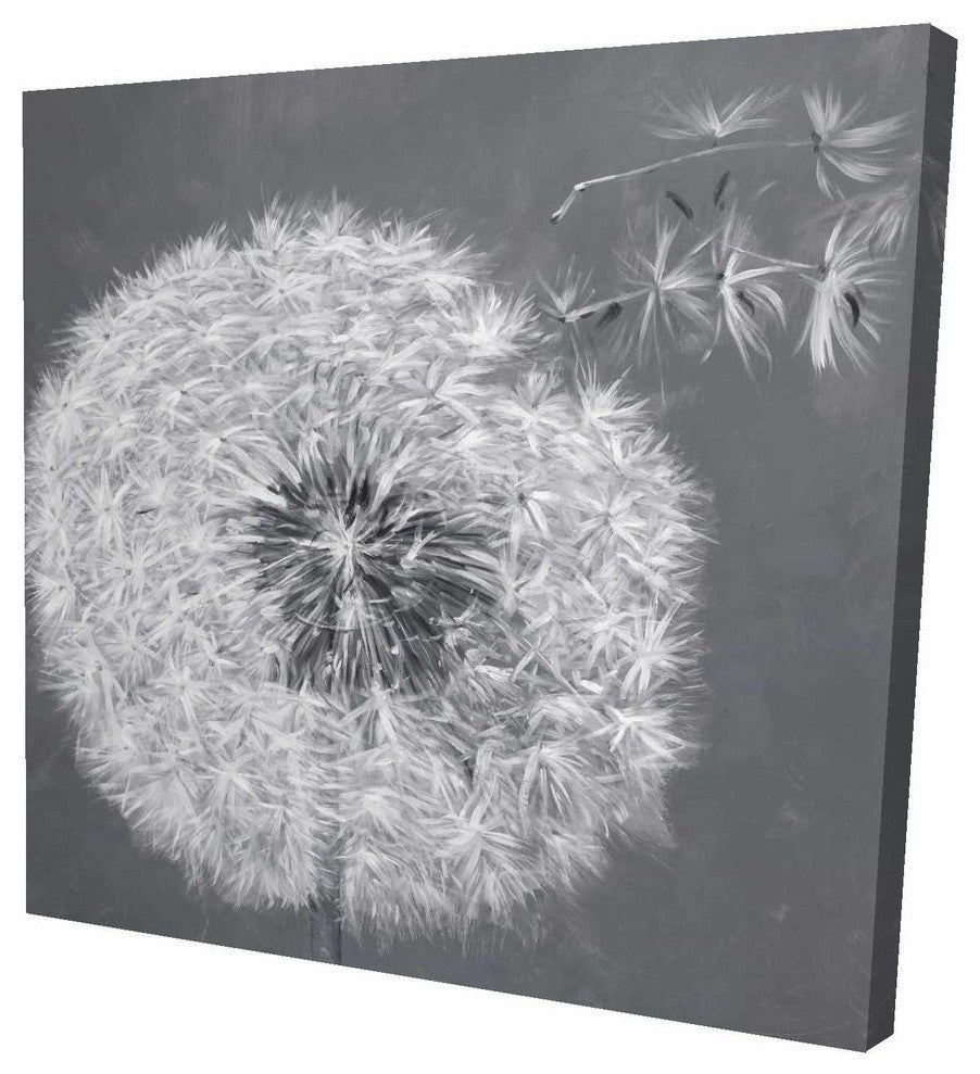 Blowing Dandelion, Fine Art Gallery Wrapped Canvas, 24"x24"