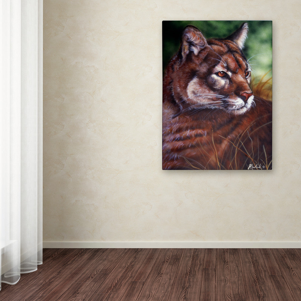 Jenny Newland 'Watchful Eyes II' Canvas Art, 32x24