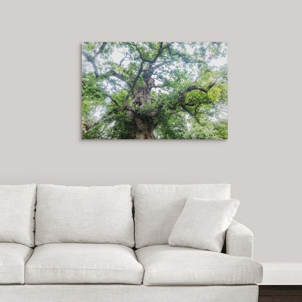 "The Old Oak" Wrapped Canvas Art Print, 36"x24"x1.5"