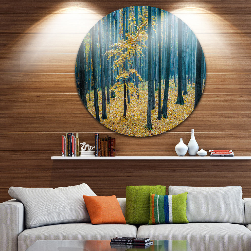 Dense Autumn Beach Forest, Forest Round Wall Art, 36"