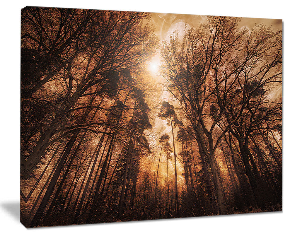 "Picturesque Autumn Forest" Canvas Print
