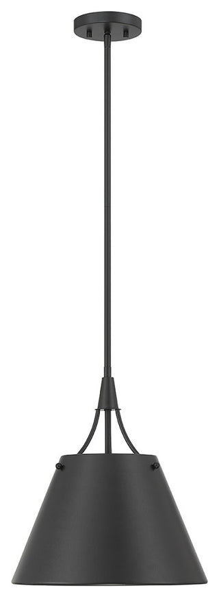 Willis 1-Light Pendant, Matte Black