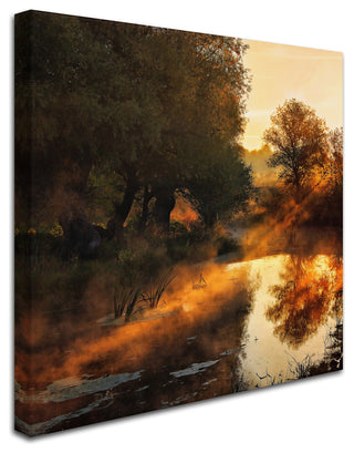 Leicher Oliver 'When Nature Paints With Light' Canvas Art, 18x18
