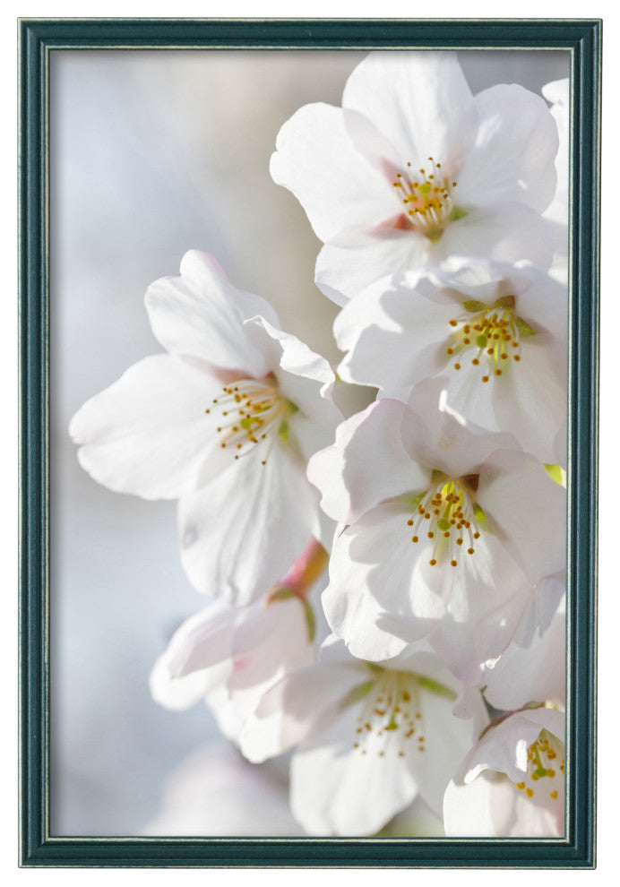 Sweet Simplicity Rustic Frame, Dark Teal