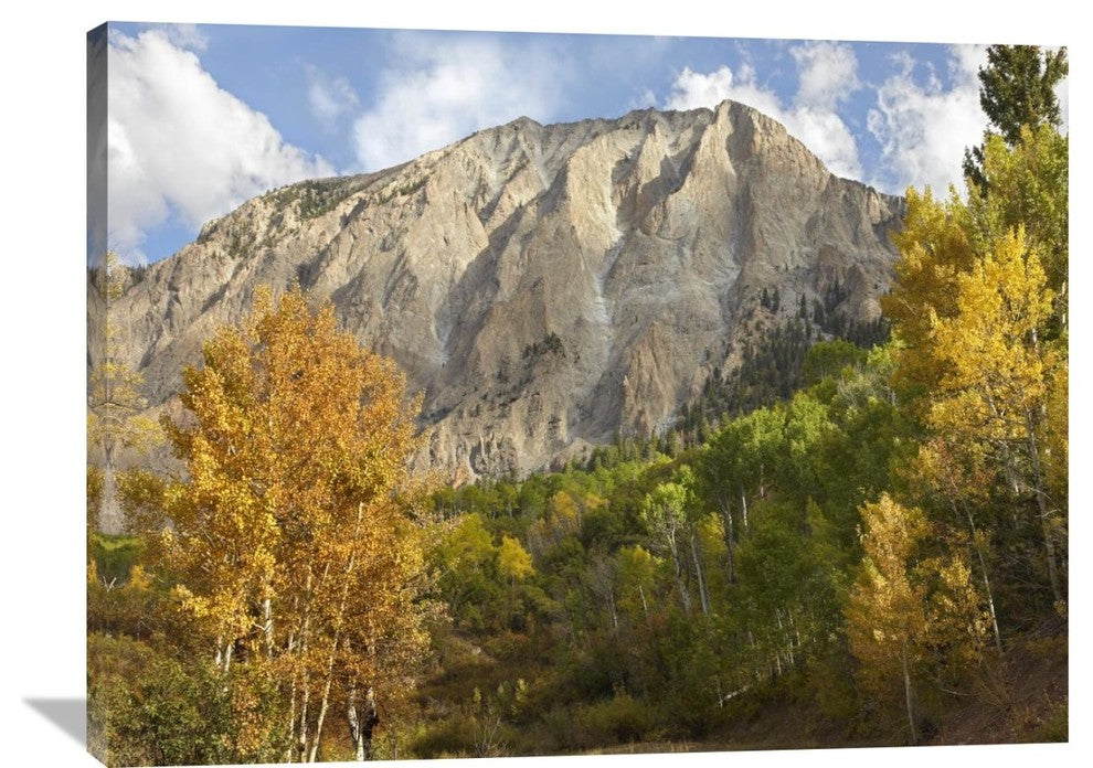 "Marcellina Mountain Near Crested Butte, Colorado" Artwork, 40" x 30"