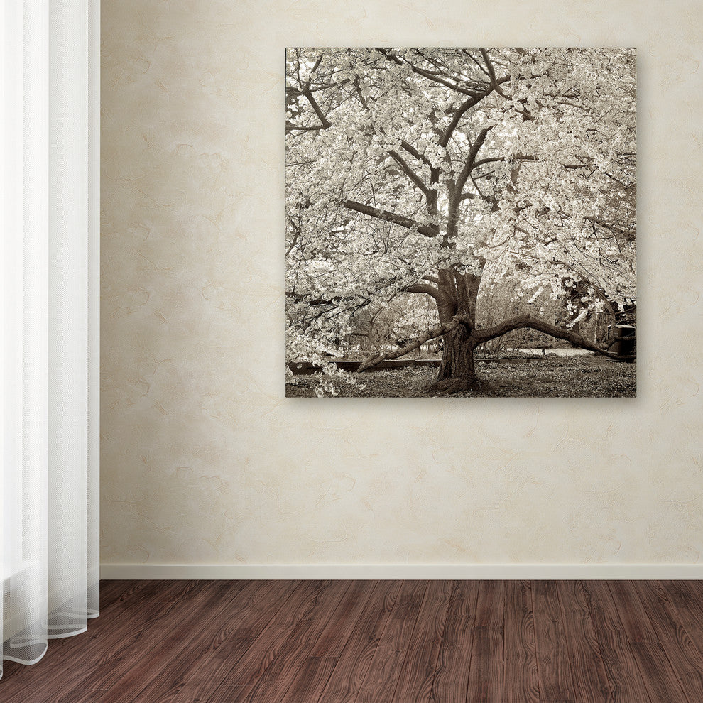 Alan Blaustein ''Hampton Magnolia II'' Canvas Art, 35x35