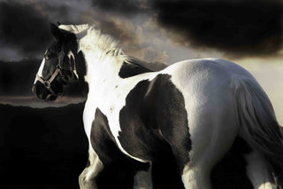 "Halo" Print on Canvas by Maggie Dee
