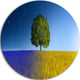 Tree In Night And Day, Landscape Art Round Metal Wall Art, 11"