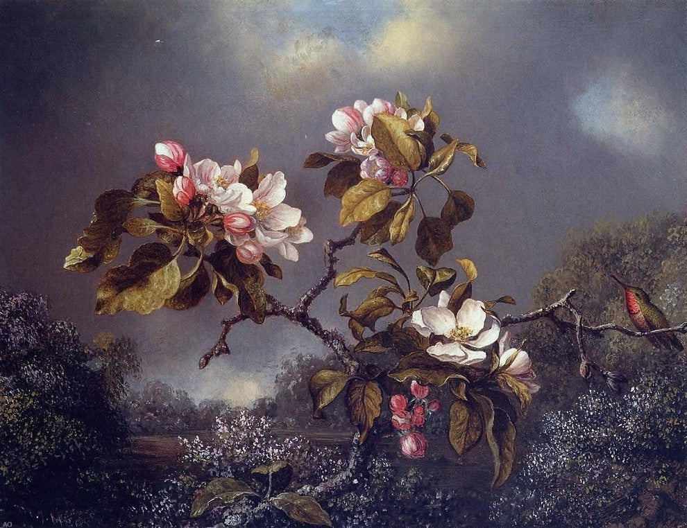 Martin Johnson Heade Apple Blossoms and Hummingbird Wall Decal Print