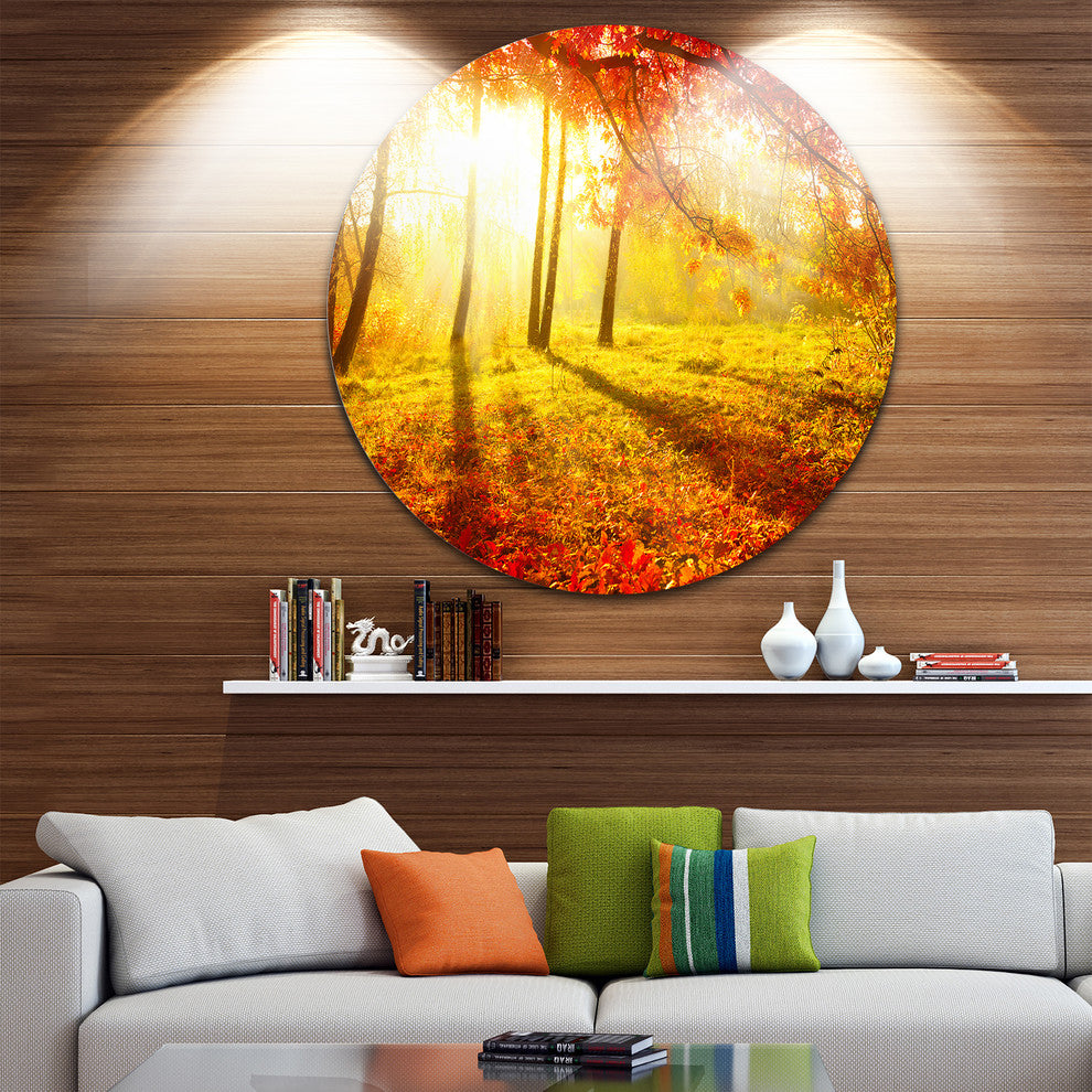Autumnal Park, Landscape Photography Disc Metal Artwork, 36"