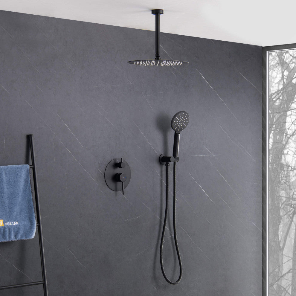 Ceiling Mounted 2-Function Shower System, Rough, Valve, Matte Black