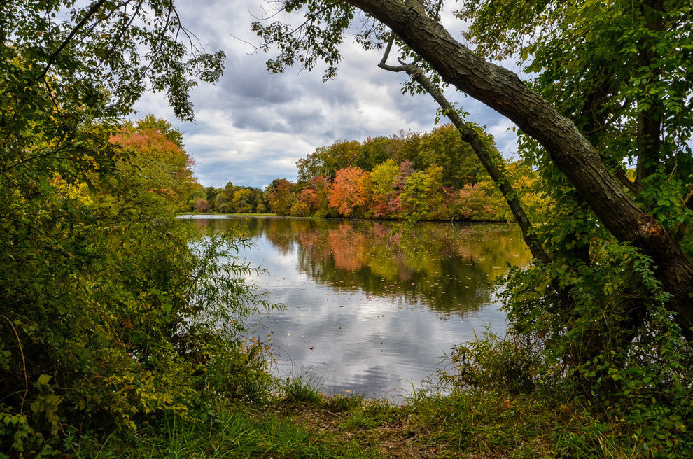 Lost in Autumn Color Landscape Photo, Rural Unframed Wall Art Print, 18" X 24"