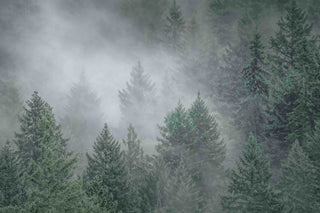 "Draped in Clouds" Painting Print on Canvas