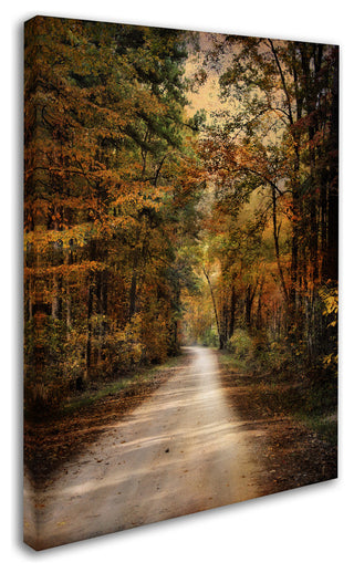 Jai Johnson 'Autumn Forest 3' Canvas Art, 19 x 14