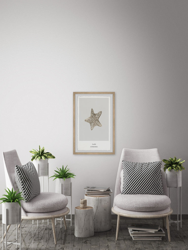 "Asteroidea" Framed Painting Print, 8x12
