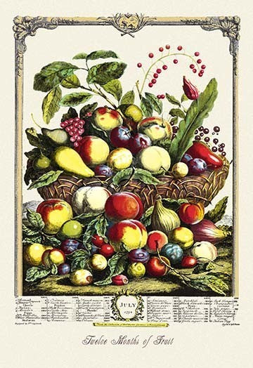 Large Array of Fruits - Gallery Wrapped Canvas Art 28" x 42"