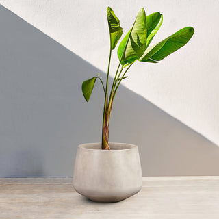 Amethyst Medium Round Lightweight Concrete Indoor/Outdoor Planter, White