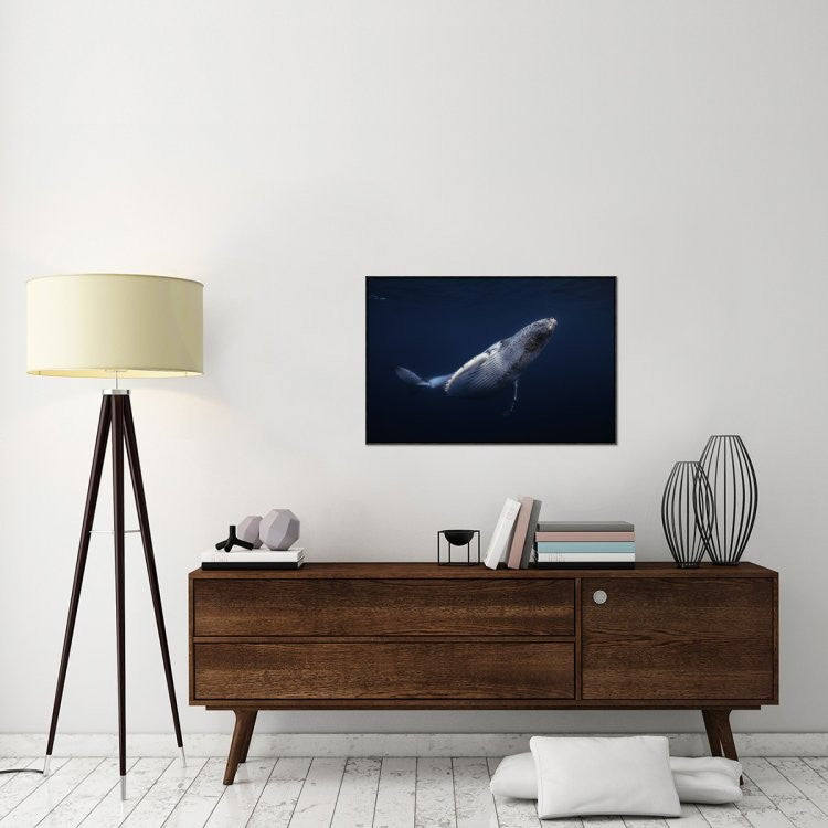 "Humpback Whale" Framed Canvas Giclee by Barathieu Gabriel, 37x25"