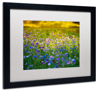 'Candy Fields' Matted Framed Canvas Art by Philippe Sainte-Laudy